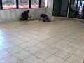Keith Silman Painting & Remodeling of Amarillo, TX