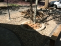 Keith Silman Painting & Remodeling of Amarillo, TX
